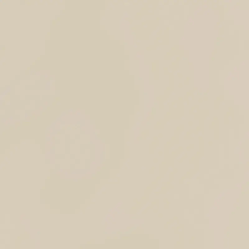 ЛДСП 18 Світлий Беж U119 VL 2800 х2070 SWISS KRONO